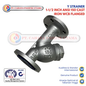 Y Strainer 1-1/2 Inch ANSI 150 Cast Iron WCB Flanged Air Valve