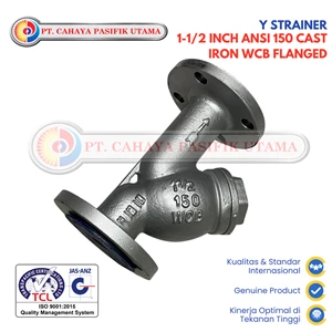Y Strainer 1-1/2 Inch ANSI 150 Cast Iron WCB Flanged Air Valve