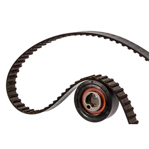 V Belt